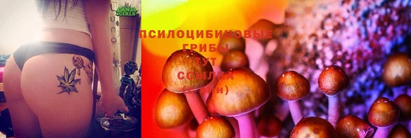 МДМА Нефтекумск