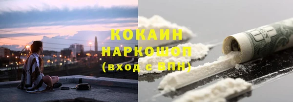 стафф Михайловск