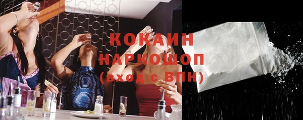 стафф Михайловск