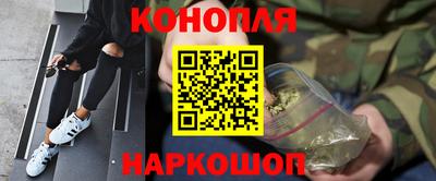 прущие грибы Можайск